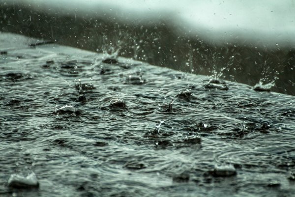 Ливневые дожди