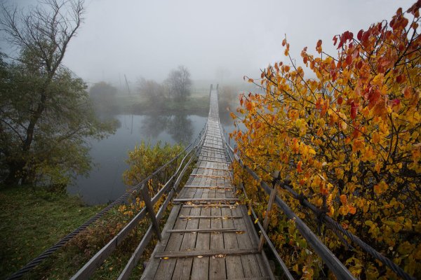 Осень мост