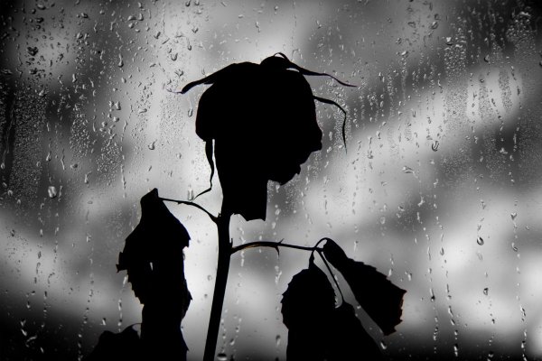 Дождь одиночество