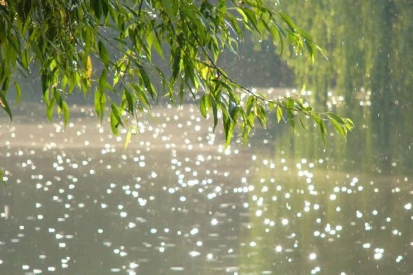 Дождь и солнце