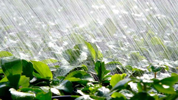 Проливной дождь