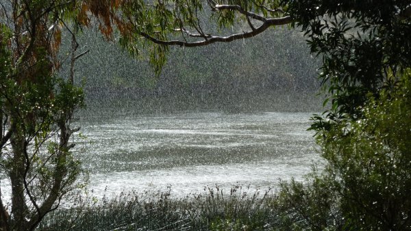 Дождь над рекой