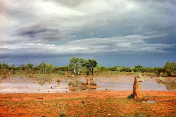 Сезон дождей в Австралии