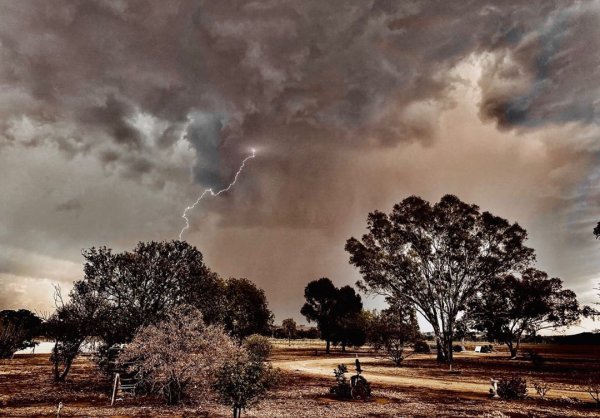 Засуха в Австралии