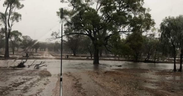 Дождь в Австралии
