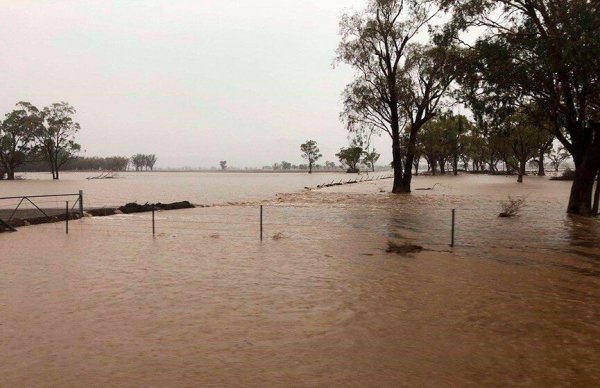 Наводнение в Австралии 2020