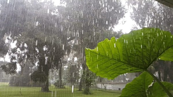 Кислотные дожди гифка