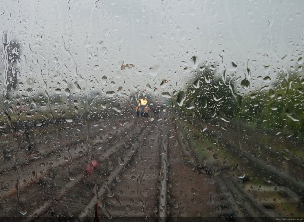 Дождь слякоть