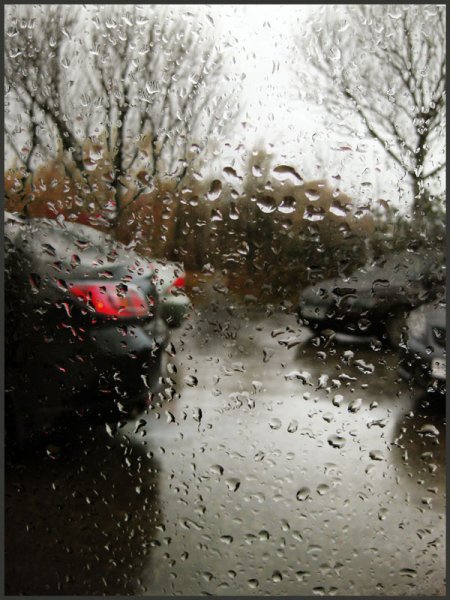 Хмурая дождливая осень