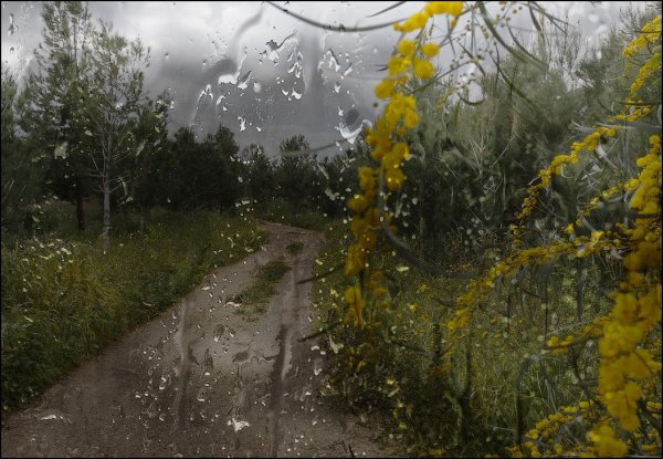 Хмурая дождливая осень