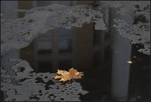 Осенний холод на дворе