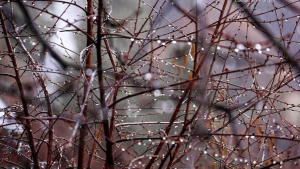 Поздняя дождливая осень