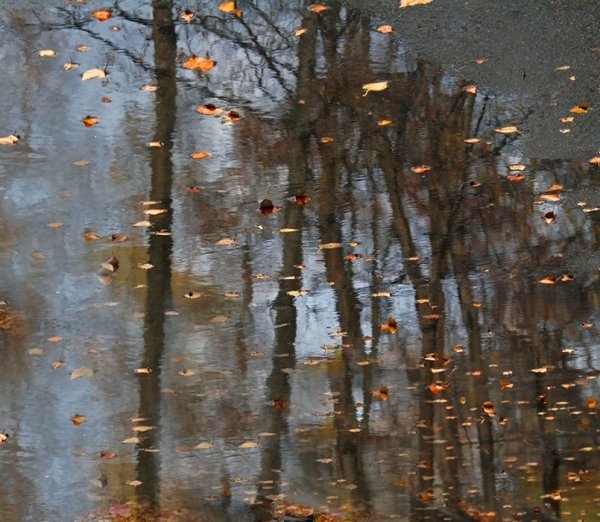 Октябрьский дождь