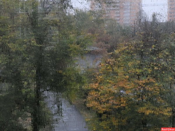 Октябрьский дождик