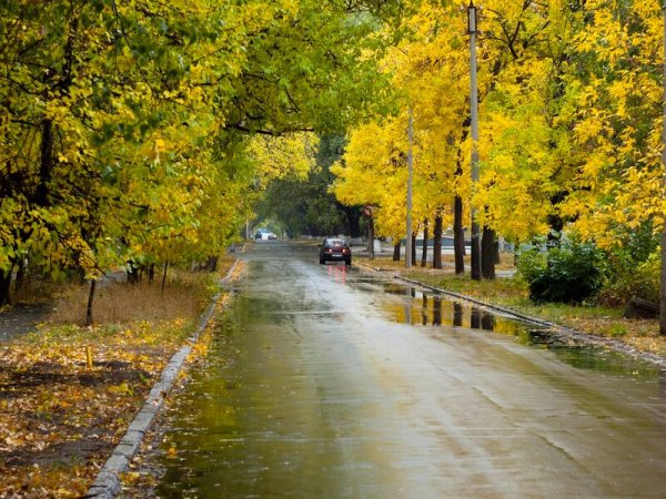 Осенний дождь в городе