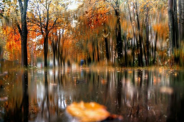 Красивая дождливая осень