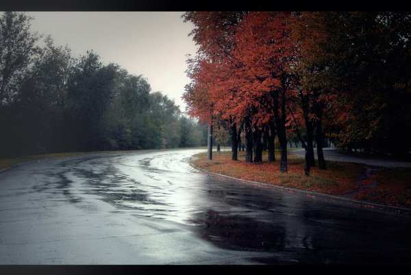 Пасмурный осенний день в городе