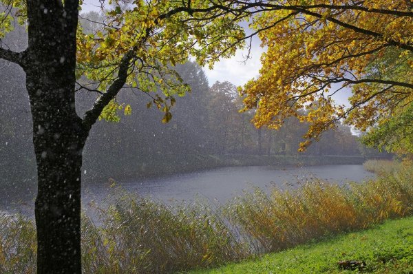 Пейзажи природы дождь