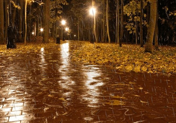 Осенний ливень