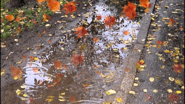 Дождь анимация