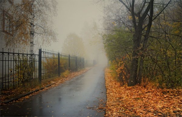 Пасмурная осень в городе