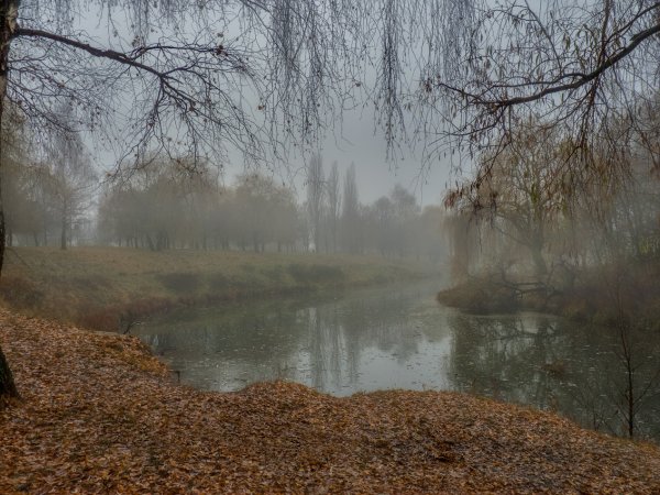 Поздняя осень дождь