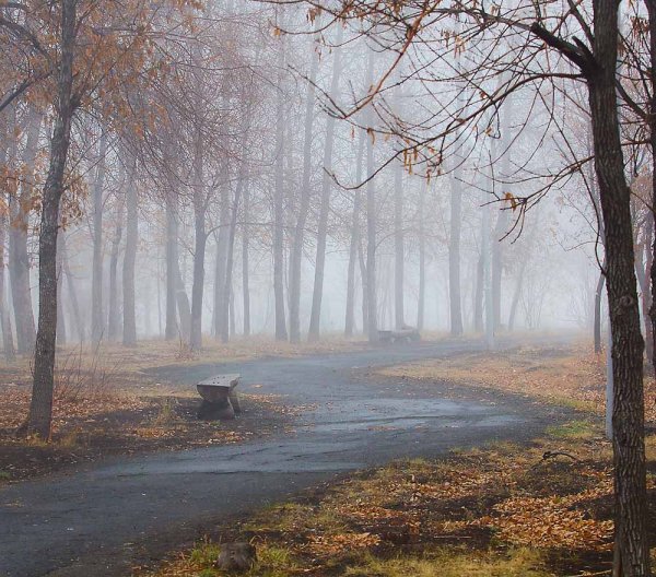 Грустная осень