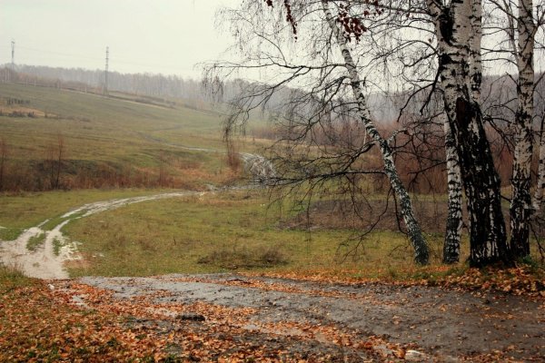 Остафьево поздняя осень