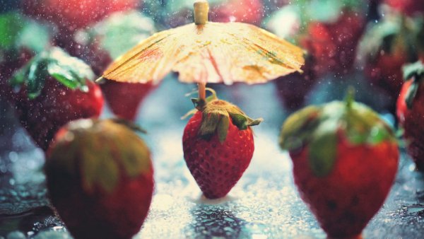 Фрукты под зонтом