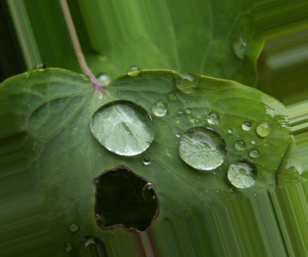 Кислотные дожди