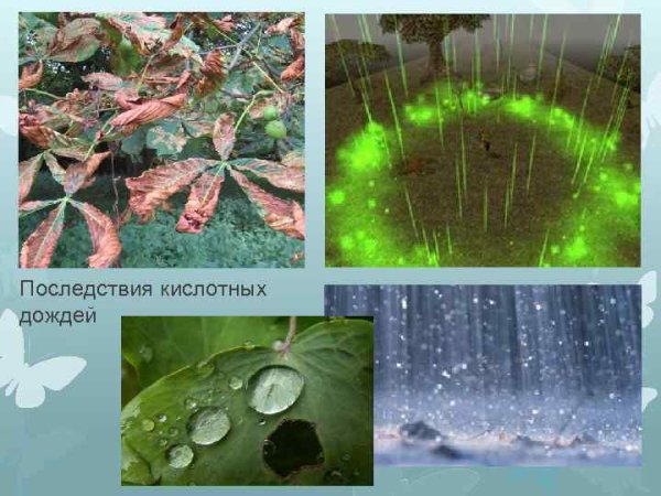 Кислотные осадки