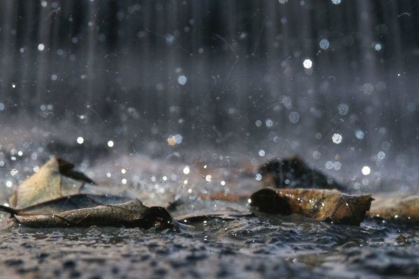 Токсический дождь