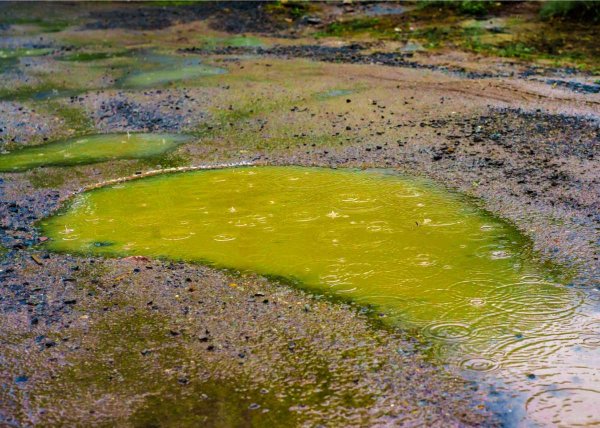 Загрязнение воды кислотными дождями