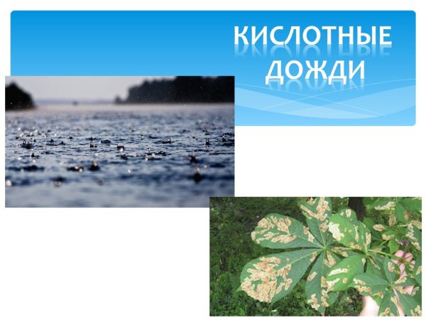 Кислотные дожди