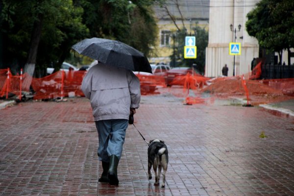 Такси в дождь погоду