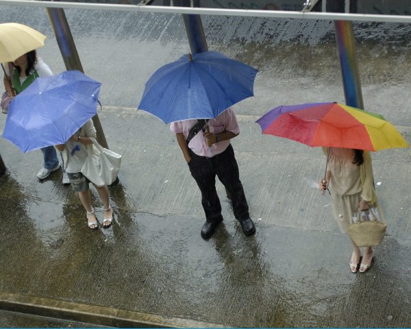 Человек на остановке в дождь картина