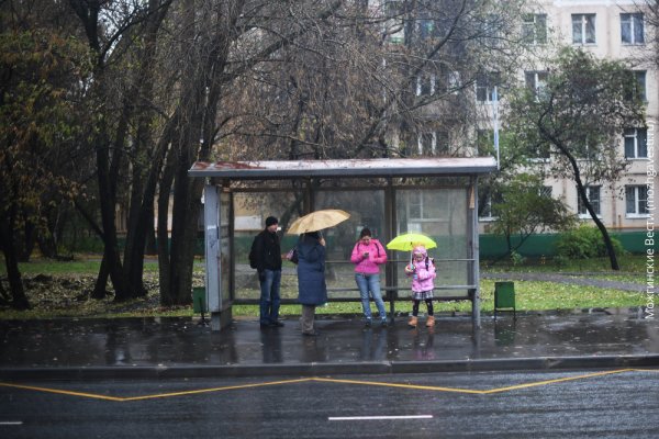 Остановка под дождем