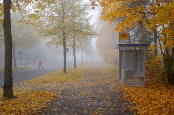 Утро поздняя осень город