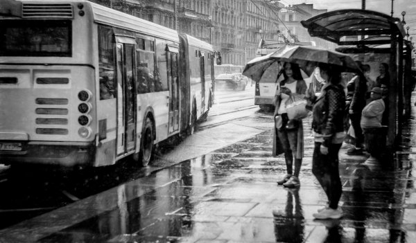 Остановка под дождем