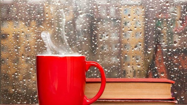 Осень дождь окно чашка