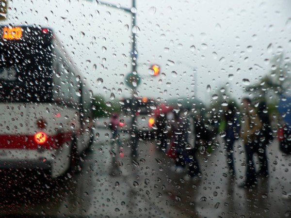 Дождливое окно автобуса