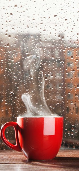 Дождливое утро