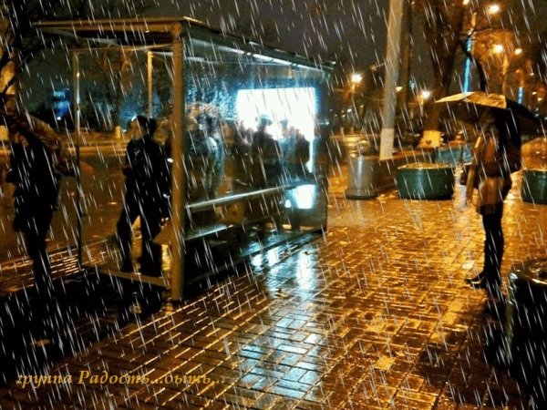 Остановка под дождем