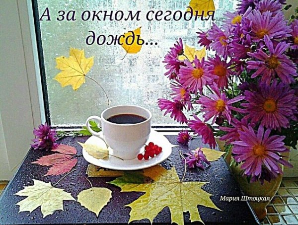 С добрым осенним дождливым утром