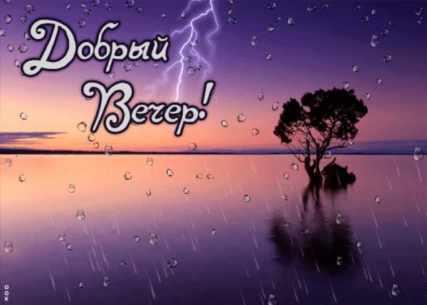 До.рый дождливый вечер