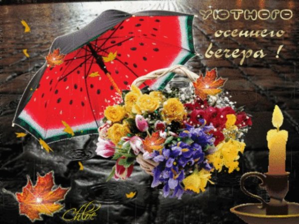 Добрый дождливый вечер открытки