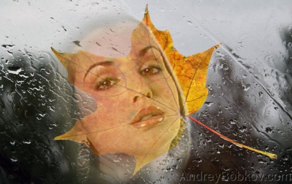 Осень дождь женщины