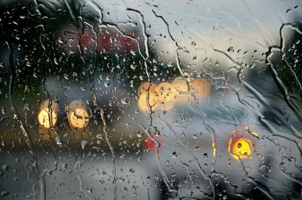 Дождь за окном