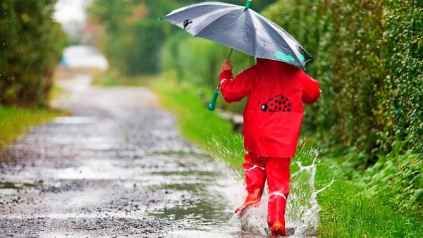 Дождливый день