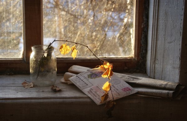 Уютная осень небо